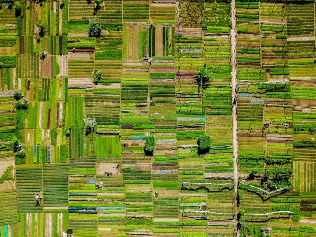 Конференция "Зелёный бизнес"