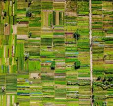 Конференция "Зелёный бизнес"